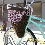 swarm on bicycle