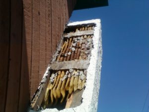 Newport Beach Bee Removal - The Bee Man