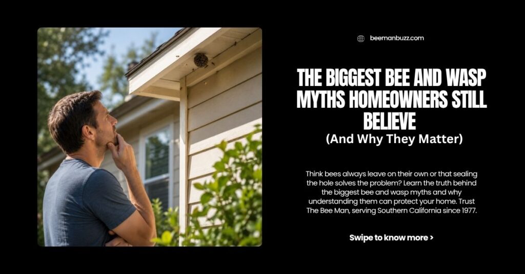 The-Biggest-Bee-and-Wasp-Myths-Homeowners-Still-Believe-And-Why-They-Matter