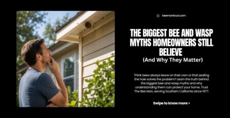The-Biggest-Bee-and-Wasp-Myths-Homeowners-Still-Believe-And-Why-They-Matter
