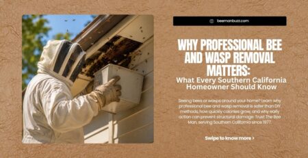 Why-Professional-Bee-and-Wasp-Removal-Matters-What-Every-Southern-California-Homeowner-Should-Know
