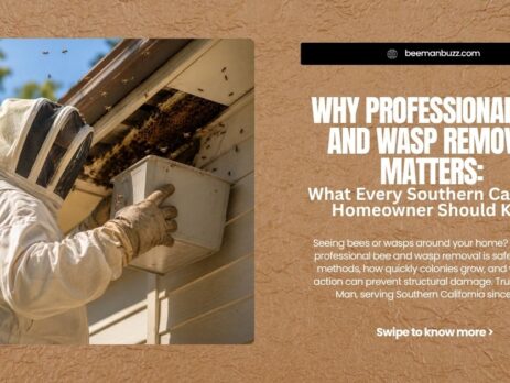 Why-Professional-Bee-and-Wasp-Removal-Matters-What-Every-Southern-California-Homeowner-Should-Know