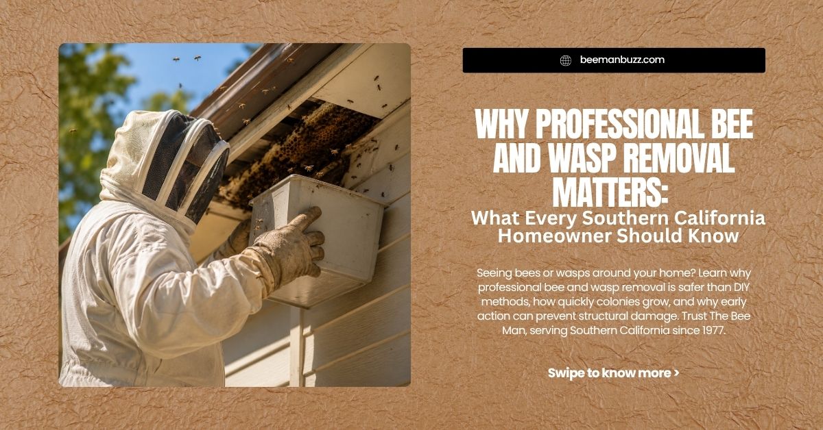 Why-Professional-Bee-and-Wasp-Removal-Matters-What-Every-Southern-California-Homeowner-Should-Know