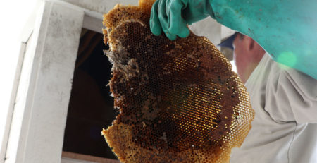 TBM Honeycomb Removal