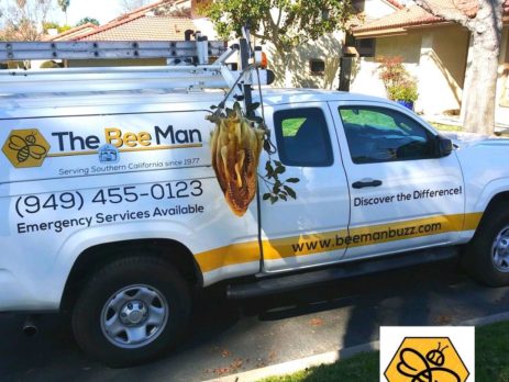 Infestations-in-Your-Home-Contact-Bee-Removal-Orange-County-Services