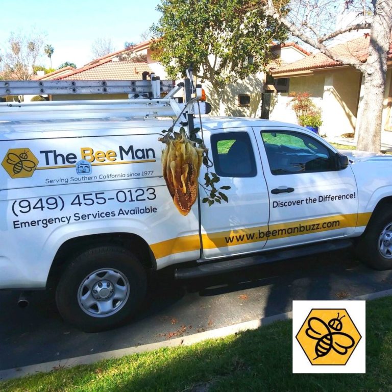 Bee Removal Orange County