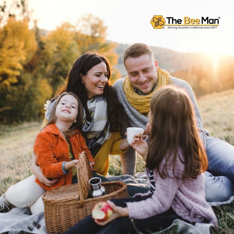 Bee and Wasp Removal Experts Share How to Keep Bees Away When You’re