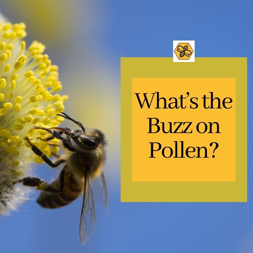 Orange-County-Bee-and-Wasp-Removal-Service-Talks-Pollen
