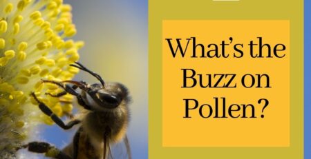 Orange-County-Bee-and-Wasp-Removal-Service-Talks-Pollen
