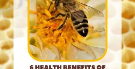 bee-removal-experts-discuss-the-benefits-of-honey