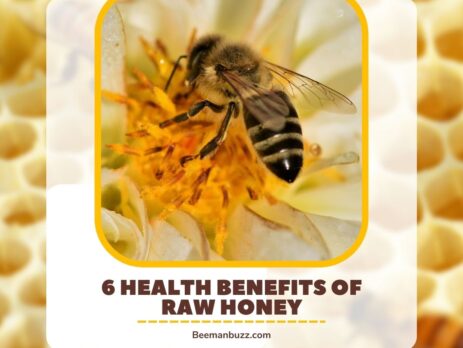bee-removal-experts-discuss-the-benefits-of-honey