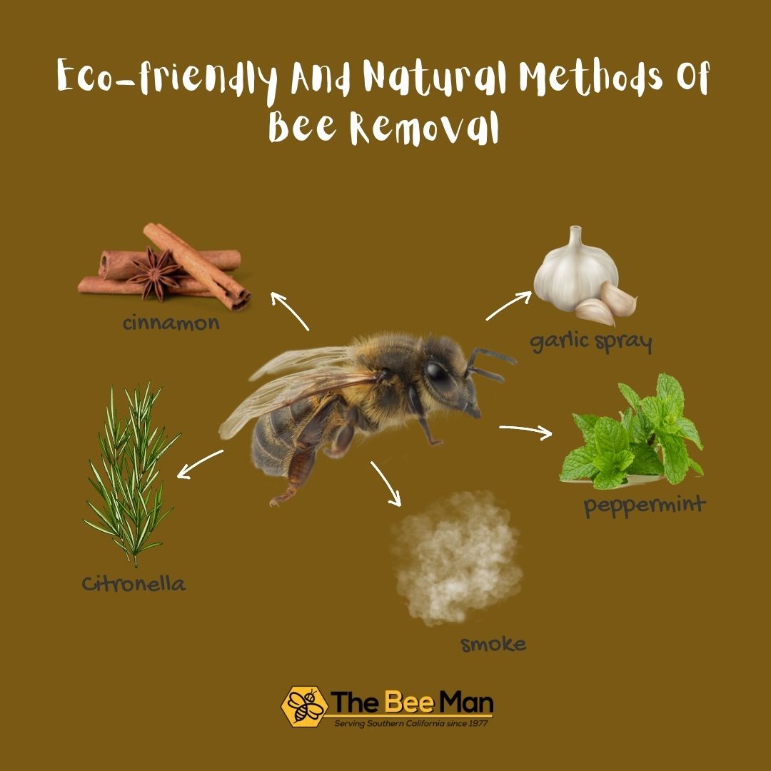 natural-and-eco-friendly-ways-of-Orange-County-bee-removal