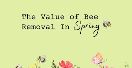 springtime-orange-county-removal-is-ideal-Facebook-Post