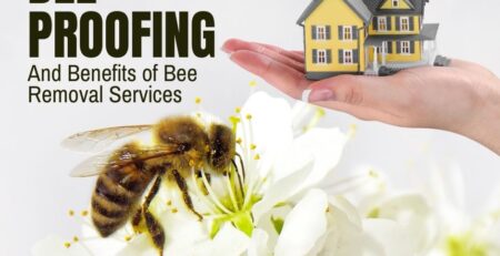 safety-of-bee-proofing-and-Orange-County-bee-removal-service-Facebook-Post-Landscape