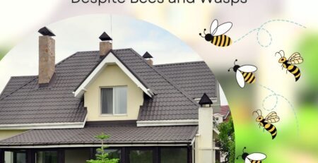 image-of-a-house-protected-from-bees-and-wasps-blog-title-on-top-Maintaining-Your-Homes-Structural-Integrity-Despite-Bees-and-Wasps