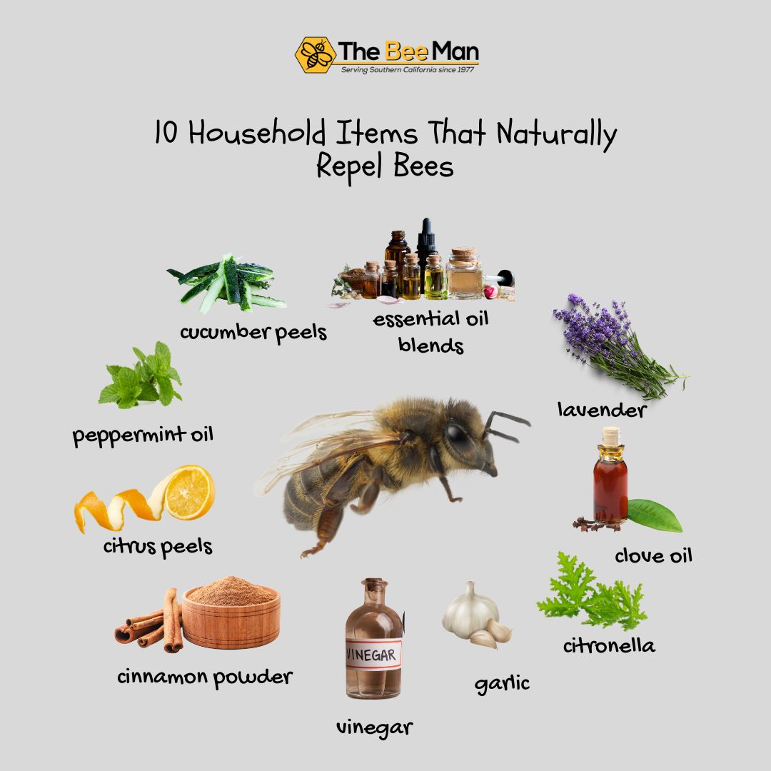 image-of-the-10-Household-Items-That-Naturally-Repel-Bees