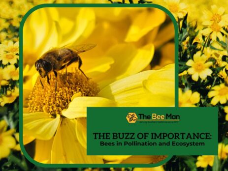 bee-on-a-field-of-flowers-blog-title-The-Buzz-of-Importance-Bees-in-Pollination-and-Ecosystem