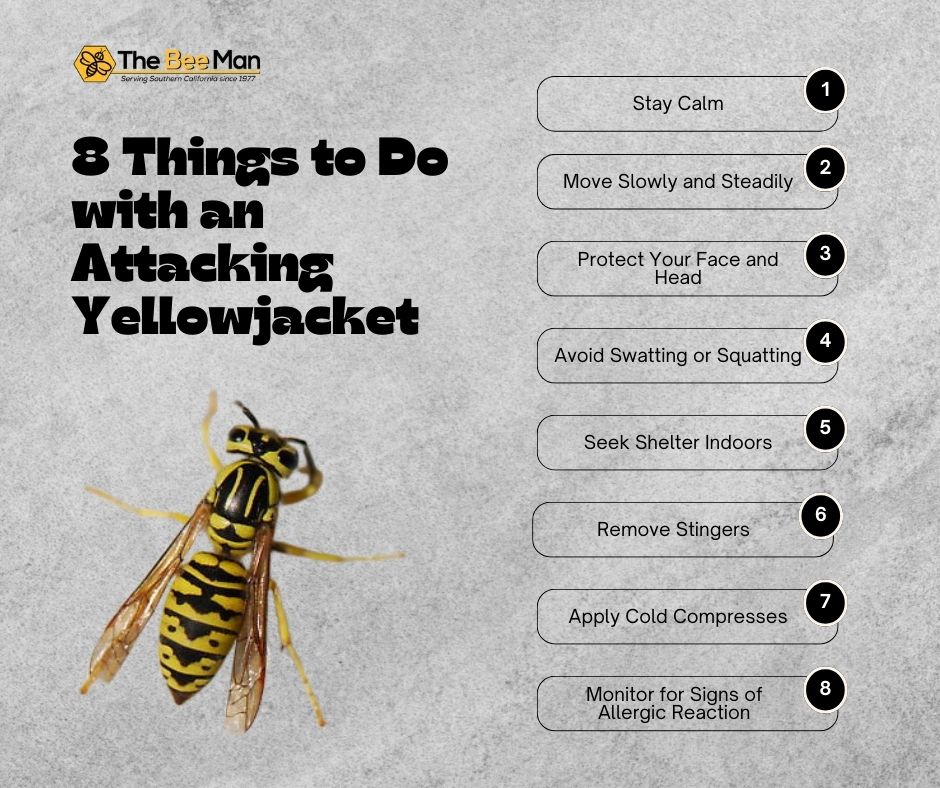 image-of-a-californian-yellowjacket-blog-title-8-Things-to-Do-with-an-Attacking-Yellowjacket-Facebook-Post