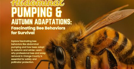 Abdominal-Pumping-and-Autumn-Adaptations-Fascinating-Bee-Behaviors-for-Survival-Facebook-Post