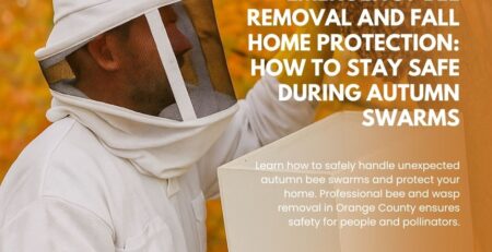 Emergency-Bee-Removal-and-Fall-Home-Protection-How-to-Stay-Safe-During-Autumn-Swarms-Facebook-Post