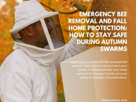Emergency-Bee-Removal-and-Fall-Home-Protection-How-to-Stay-Safe-During-Autumn-Swarms-Facebook-Post