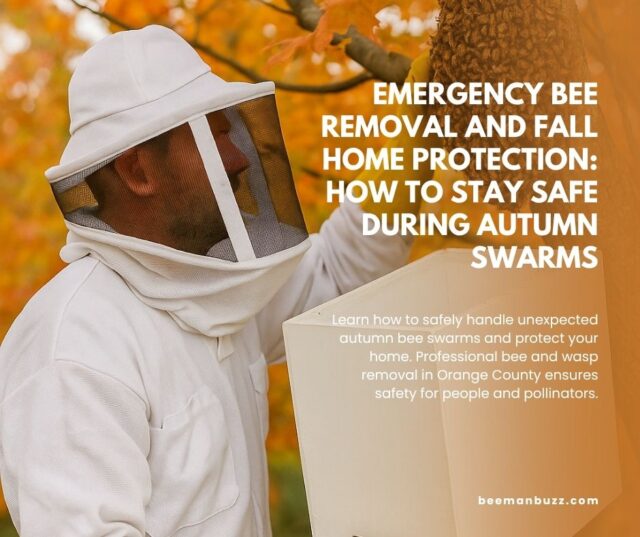 Emergency Bee Removal & Fall Home Protection | Bee Removal Orange County