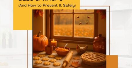 How-Holiday-Baking-Attracts-Bees-Wasps-And-How-to-Prevent-It-Safely-1080-x-1080-px