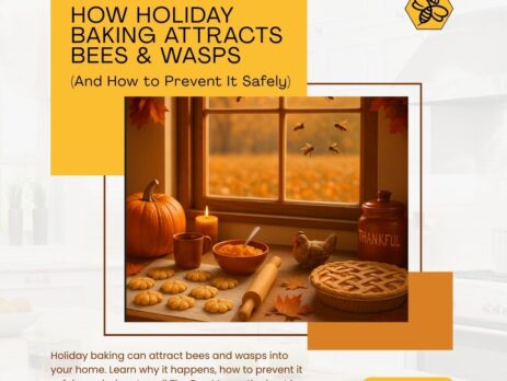 How-Holiday-Baking-Attracts-Bees-Wasps-And-How-to-Prevent-It-Safely-1080-x-1080-px