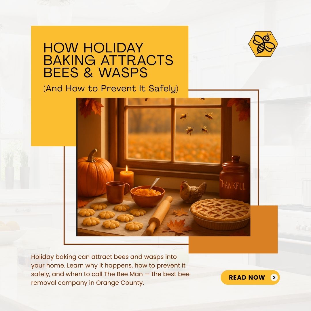 How-Holiday-Baking-Attracts-Bees-Wasps-And-How-to-Prevent-It-Safely-1080-x-1080-px