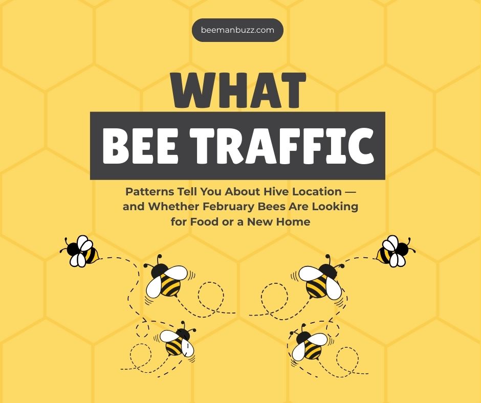 What-Bee-Traffic-Patterns-Tell-You-About-Hive-Location-—-and-Whether-February-Bees-Are-Looking-for-Food-or-a-New-Home-Facebook-Post
