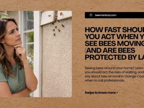 How-Fast-Should-You-Act-When-You-See-Bees-Moving-In-And-Are-Bees-Protected-by-Law