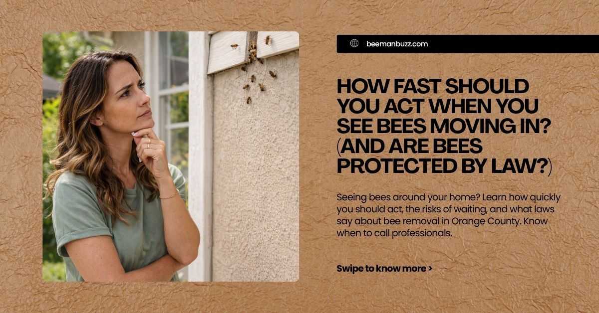 How-Fast-Should-You-Act-When-You-See-Bees-Moving-In-And-Are-Bees-Protected-by-Law